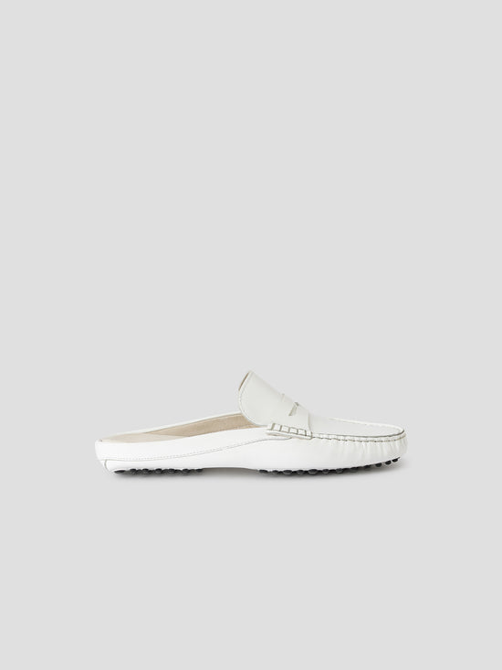 Car Shoe